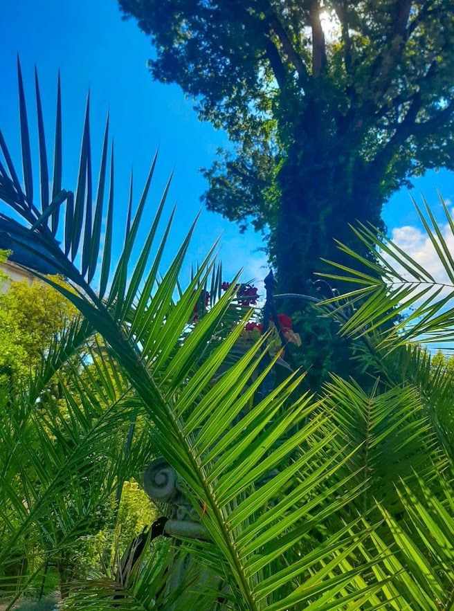 botanical garden, Sofia